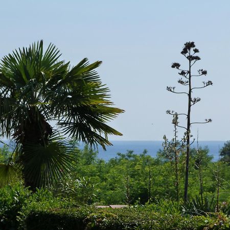 Sea Explorer House Novigrad  Zewnętrze zdjęcie