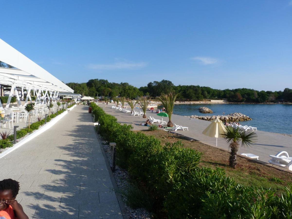 Sea Explorer House Novigrad  Zewnętrze zdjęcie