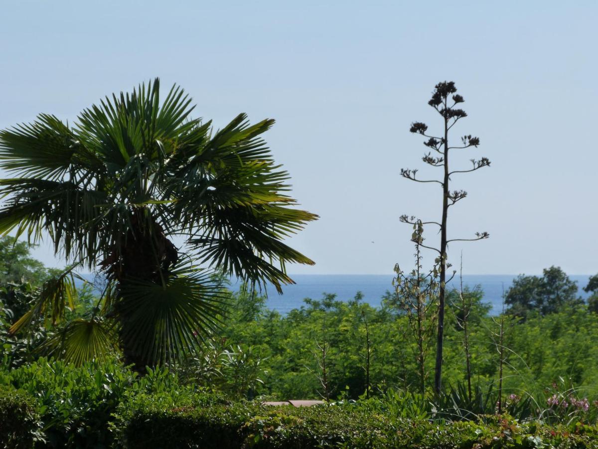 Sea Explorer House Novigrad  Zewnętrze zdjęcie