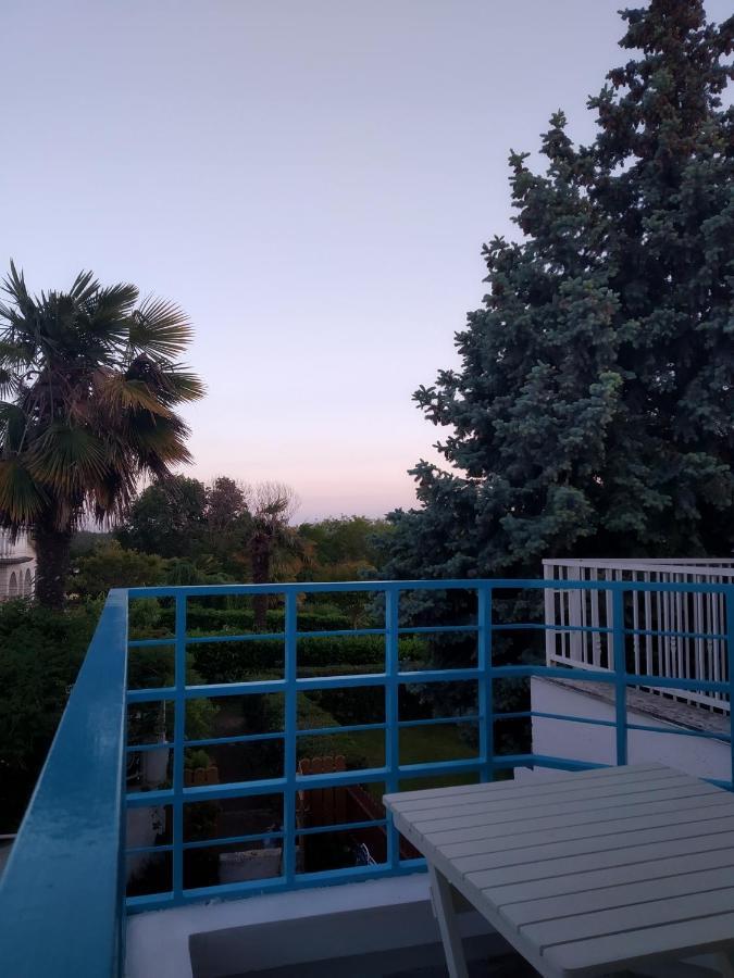 Sea Explorer House Novigrad  Zewnętrze zdjęcie